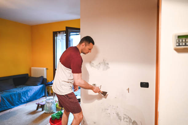 Best Attic Mold Remediation in New Madrid, MO